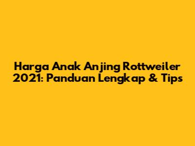 Harga Anak Anjing Rottweiler 2021: Panduan Lengkap & Tips