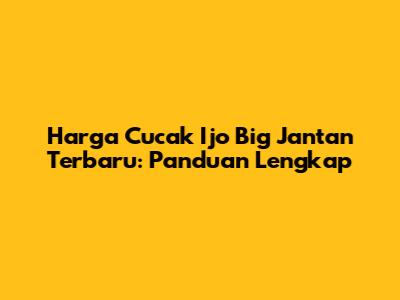 Harga Cucak Ijo Big Jantan Terbaru: Panduan Lengkap