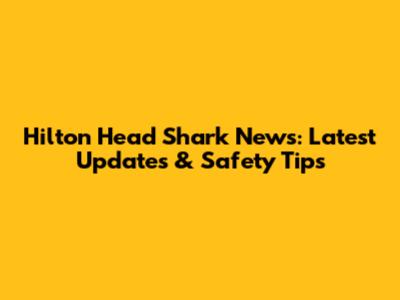 Hilton Head Shark News: Latest Updates & Safety Tips
