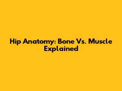 Hip Anatomy: Bone Vs. Muscle Explained