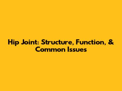 Hip Joint: Structure, Function, & Common Issues