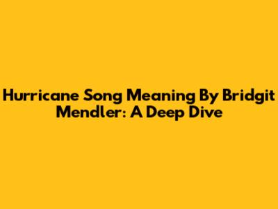 Hurricane Song Meaning By Bridgit Mendler: A Deep Dive