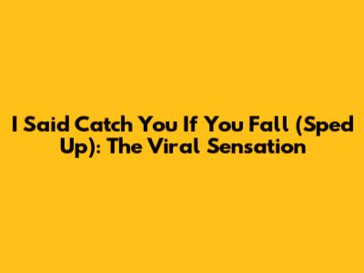 I Said Catch You If You Fall (Sped Up): The Viral Sensation