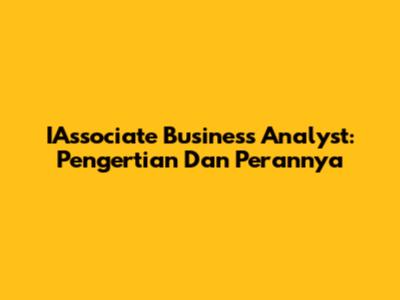 IAssociate Business Analyst: Pengertian Dan Perannya