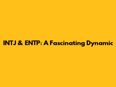 INTJ & ENTP: A Fascinating Dynamic