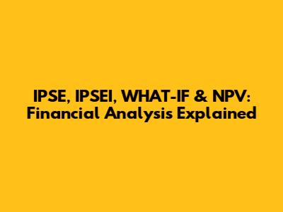 IPSE, IPSEI, WHAT-IF & NPV: Financial Analysis Explained