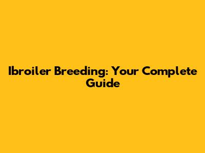 Ibroiler Breeding: Your Complete Guide