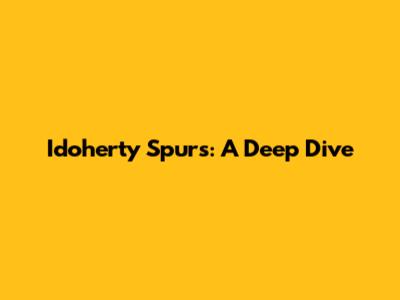 Idoherty Spurs: A Deep Dive
