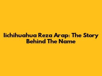 Iichihuahua Reza Arap: The Story Behind The Name