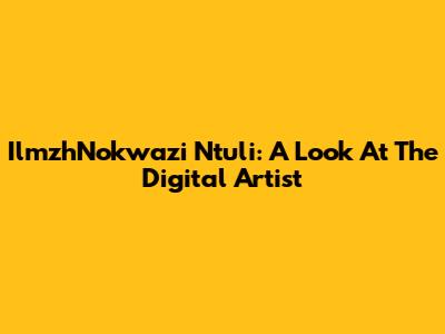 IlmzhNokwazi Ntuli: A Look At The Digital Artist