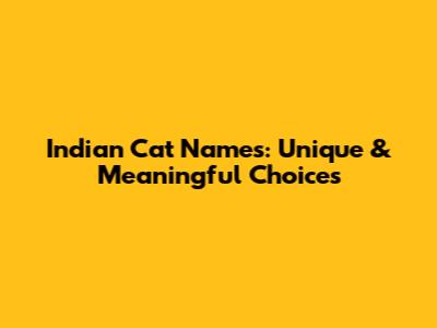 Indian Cat Names: Unique & Meaningful Choices