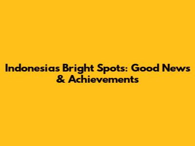 Indonesia's Bright Spots: Good News & Achievements