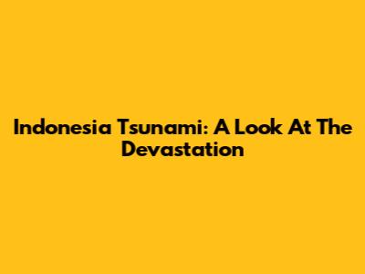 Indonesia Tsunami: A Look At The Devastation