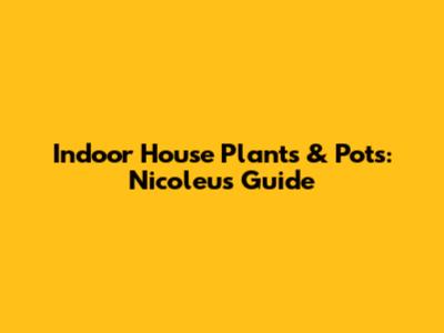 Indoor House Plants & Pots: Nicoleu's Guide