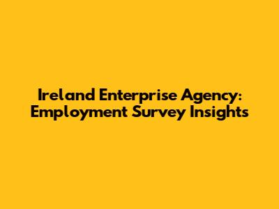 Ireland Enterprise Agency: Employment Survey Insights