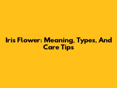 Iris Flower: Meaning, Types, And Care Tips