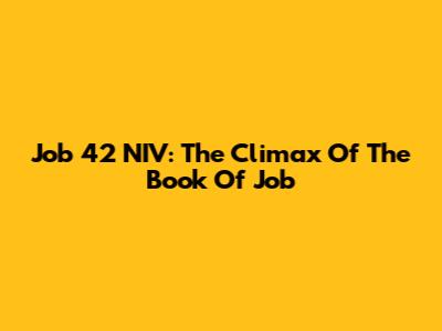 Job 42 NIV: The Climax Of The Book Of Job
