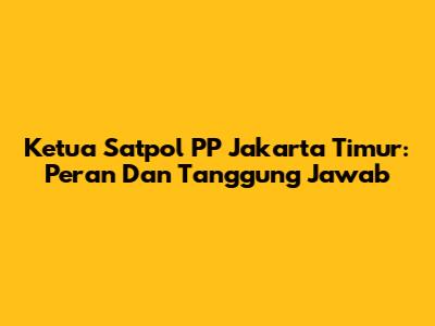 Ketua Satpol PP Jakarta Timur: Peran Dan Tanggung Jawab