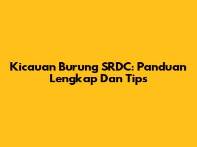 Kicauan Burung SRDC: Panduan Lengkap Dan Tips
