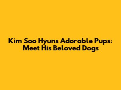 Kim Soo Hyun's Adorable Pups: Meet His Beloved Dogs