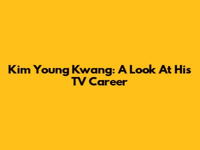 Kim Young Kwang: A Look At His TV Career