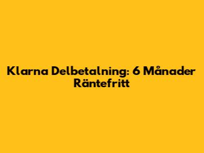 Klarna Delbetalning: 6 Månader Räntefritt