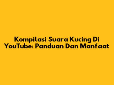 Kompilasi Suara Kucing Di YouTube: Panduan Dan Manfaat