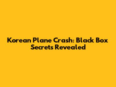 Korean Plane Crash: Black Box Secrets Revealed