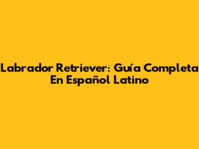 Labrador Retriever: Guía Completa En Español Latino