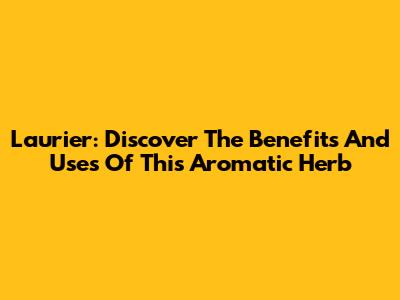 Laurier: Discover The Benefits And Uses Of This Aromatic Herb