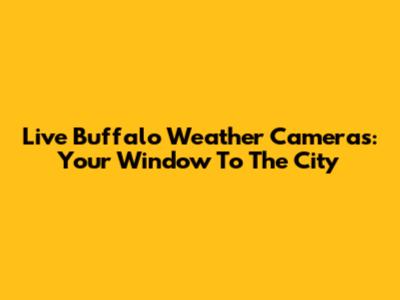 Live Buffalo Weather Cameras: Your Window To The City
