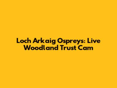 Loch Arkaig Ospreys: Live Woodland Trust Cam