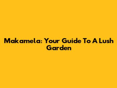 Makamela: Your Guide To A Lush Garden