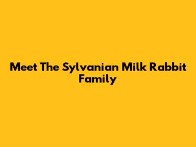 Meet The Sylvanian Milk Rabbit Family