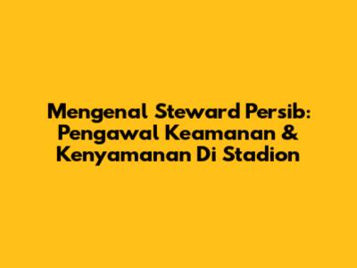 Mengenal Steward Persib: Pengawal Keamanan & Kenyamanan Di Stadion