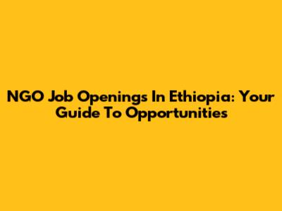 NGO Job Openings In Ethiopia: Your Guide To Opportunities