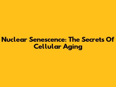 Nuclear Senescence: The Secrets Of Cellular Aging