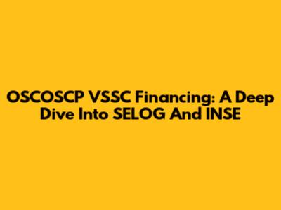 OSCOSCP VSSC Financing: A Deep Dive Into SELOG And INSE