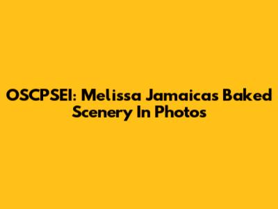 OSCPSEI: Melissa Jamaica's Baked Scenery In Photos