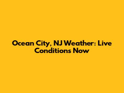 Ocean City, NJ Weather: Live Conditions Now