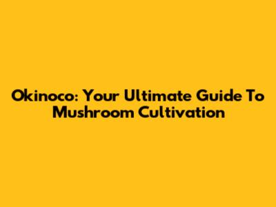 Okinoco: Your Ultimate Guide To Mushroom Cultivation