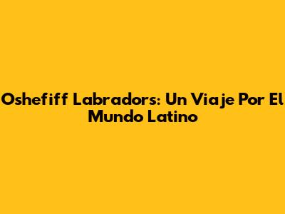 Oshefiff Labradors: Un Viaje Por El Mundo Latino