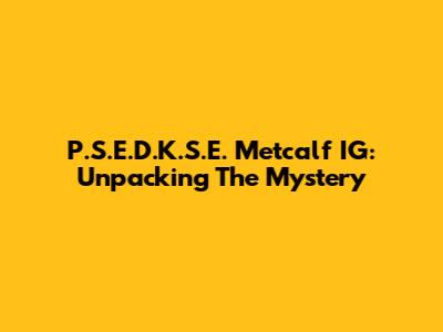 P.S.E.D.K.S.E. Metcalf IG: Unpacking The Mystery