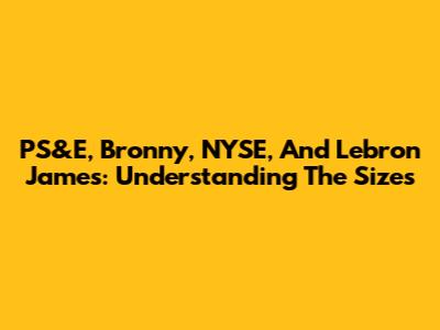 PS&E, Bronny, NYSE, And Lebron James: Understanding The Sizes