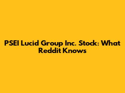 PSEI Lucid Group Inc. Stock: What Reddit Knows