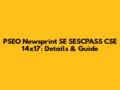 PSEO Newsprint SE SESCPASS CSE 14x17: Details & Guide
