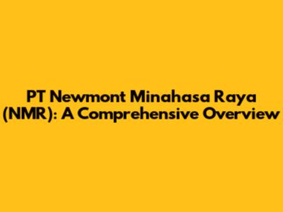 PT Newmont Minahasa Raya (NMR): A Comprehensive Overview
