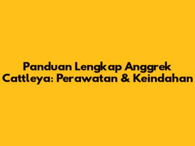 Panduan Lengkap Anggrek Cattleya: Perawatan & Keindahan