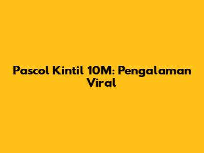 Pascol Kintil 10M: Pengalaman Viral