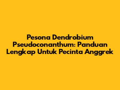 Pesona Dendrobium Pseudoconanthum: Panduan Lengkap Untuk Pecinta Anggrek